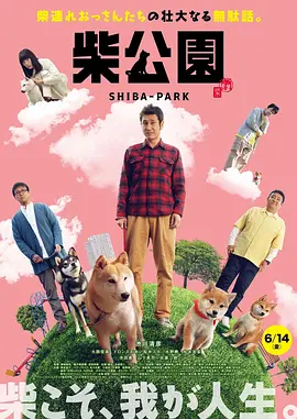 99久久精品国产精品久久