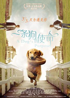 伊人影视频