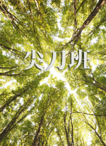 女工：浪漫工作