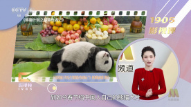 丝袜美女av